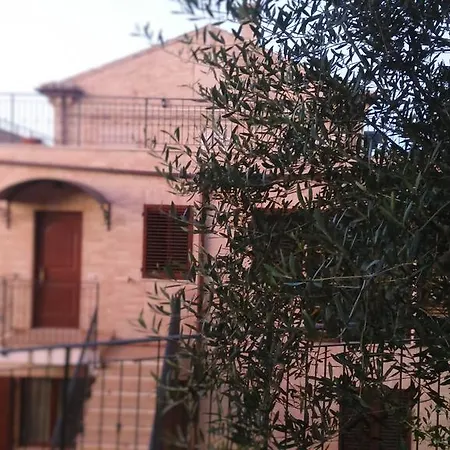 Nonna Carò Fermo
